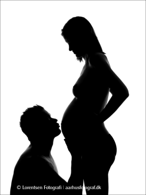 gravid-par-27177-048
