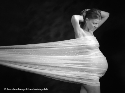gravid-vaegbillede-27177-014
