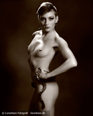 lorentsen-fotografi-sabrina-07012012-161